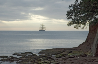 Tall Ships

